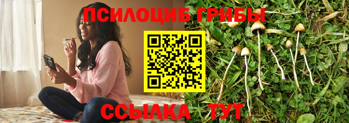 Псилоцибиновые грибы GOLDEN TEACHER  Вход с VPN  Медногорск 